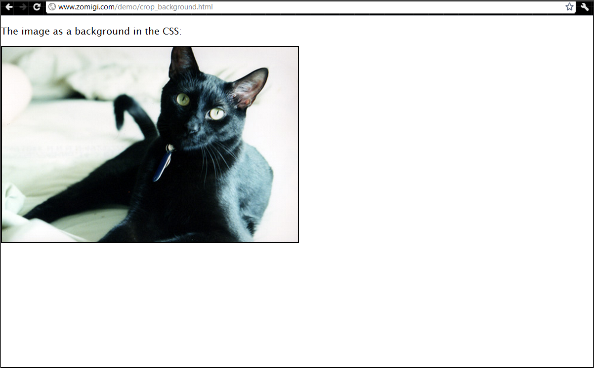 Click to Open in New Window