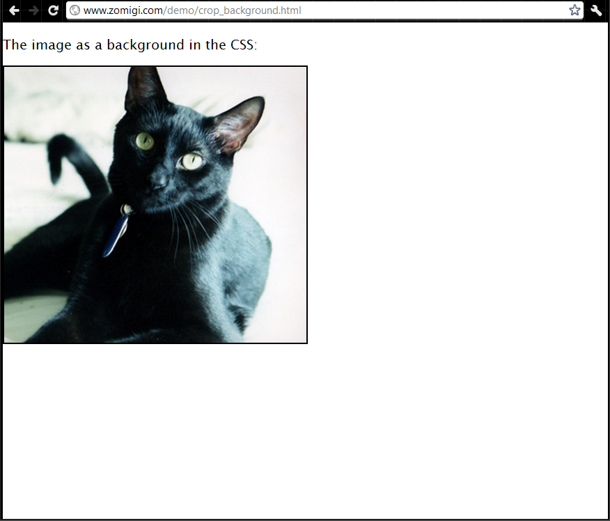 Click to Open in New Window